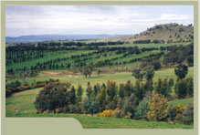 image  of Jayfields   Nursery