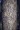 Bark