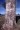 Bark