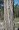 Bark