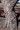 Bark