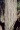 Bark